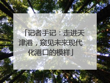 记者手记：走进天津港，窥见未来现代化港口的模样