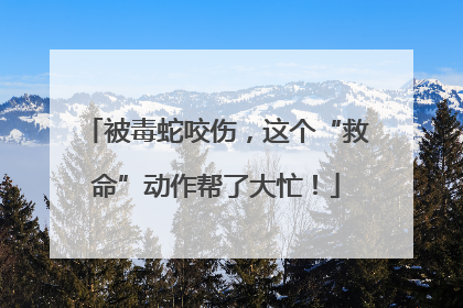 被毒蛇咬伤，这个“救命”动作帮了大忙！