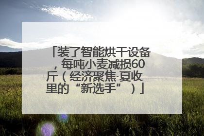 装了智能烘干设备，每吨小麦减损60斤（经济聚焦·夏收里的“新选手”）