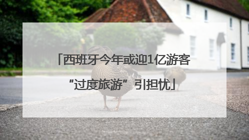 西班牙今年或迎1亿游客 “过度旅游”引担忧