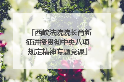 西峡法院院长肖新征讲授贯彻中央八项规定精神专题党课