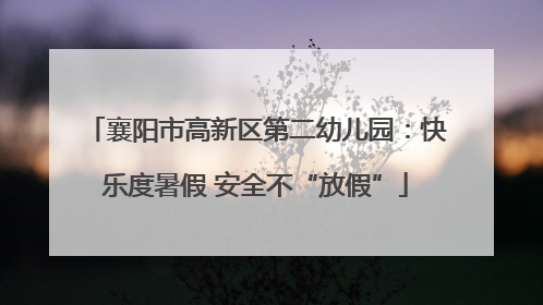襄阳市高新区第二幼儿园：快乐度暑假 安全不“放假”