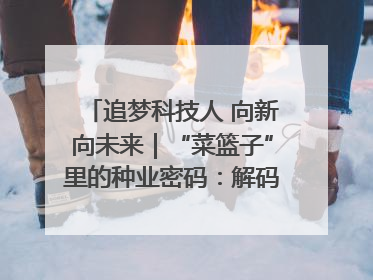 追梦科技人 向新向未来｜“菜篮子”里的种业密码：解码南京蔬菜分子育种的创新之路