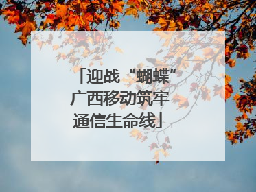 迎战“蝴蝶” 广西移动筑牢通信生命线