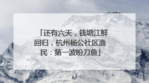 还有六天，钱塘江鲜回归，杭州杨公社区渔民：第一波盼刀鱼
