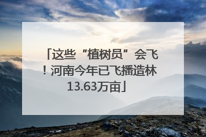 这些“植树员”会飞！河南今年已飞播造林13.63万亩