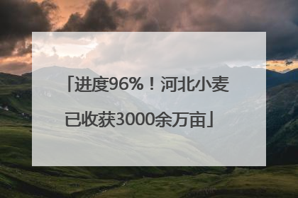 进度96%！河北小麦已收获3000余万亩