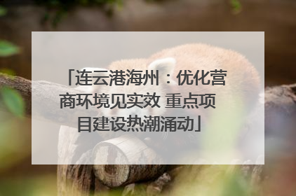 连云港海州：优化营商环境见实效 重点项目建设热潮涌动
