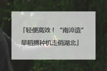 轻便高效！“南漳造”旱稻播种机走俏湖北