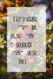 辽宁高院：“学”抓扎实 “查”见真章 “改”求实效