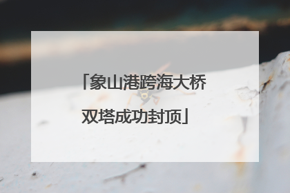 象山港跨海大桥双塔成功封顶