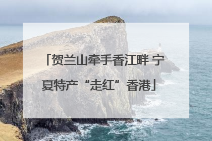 贺兰山牵手香江畔 宁夏特产“走红”香港
