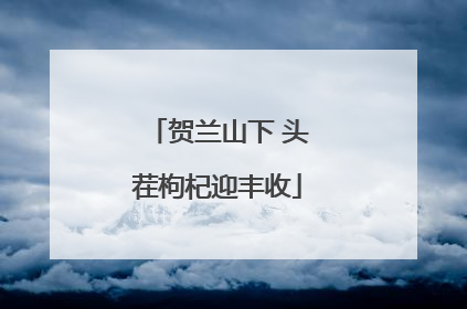 贺兰山下 头茬枸杞迎丰收