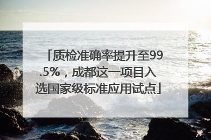 质检准确率提升至99.5%，成都这一项目入选国家级标准应用试点