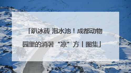 趴冰砖 泡水池！成都动物园里的消暑“凉”方丨图集
