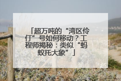 超万吨的“湾区伶仃”号如何移动？工程师揭秘：类似“蚂蚁托大象”