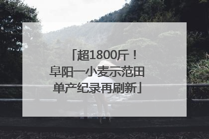 超1800斤！阜阳一小麦示范田单产纪录再刷新