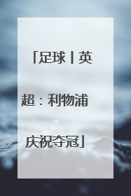 足球丨英超：利物浦庆祝夺冠