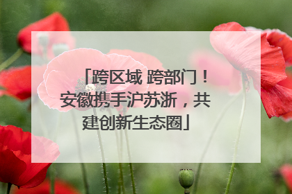 跨区域 跨部门！安徽携手沪苏浙，共建创新生态圈