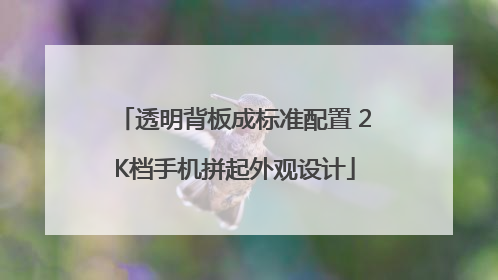 透明背板成标准配置 2K档手机拼起外观设计