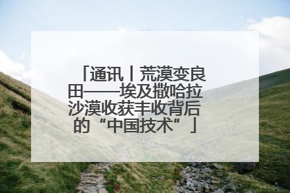 通讯丨荒漠变良田——埃及撒哈拉沙漠收获丰收背后的“中国技术”