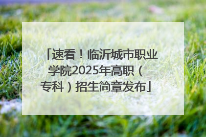 速看！临沂城市职业学院2025年高职（专科）招生简章发布