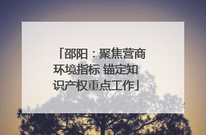 邵阳：聚焦营商环境指标 锚定知识产权重点工作