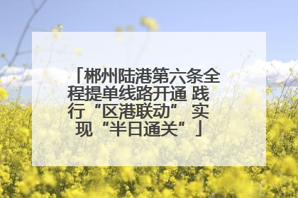 郴州陆港第六条全程提单线路开通 践行“区港联动” 实现“半日通关”