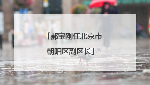 郝宝刚任北京市朝阳区副区长
