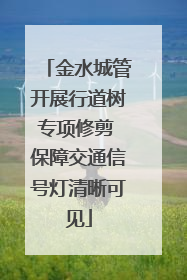 金水城管开展行道树专项修剪 保障交通信号灯清晰可见