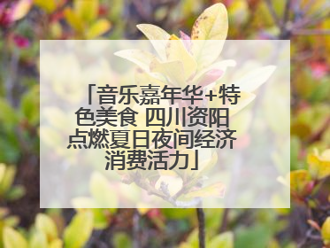 音乐嘉年华+特色美食 四川资阳点燃夏日夜间经济消费活力
