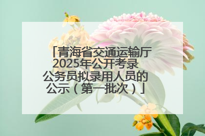 青海省交通运输厅2025年公开考录公务员拟录用人员的公示（第一批次）