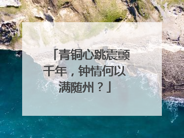 青铜心跳震颤千年，钟情何以满随州？