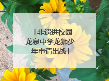 非遗进校园 龙泉中学龙狮少年申请出战
