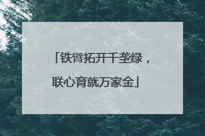 铁臂拓开千垄绿，联心育就万家金