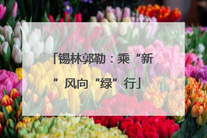 锡林郭勒：乘“新”风向“绿”行