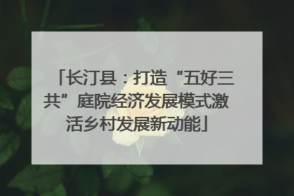 长汀县：打造“五好三共”庭院经济发展模式激活乡村发展新动能