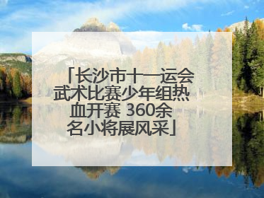 长沙市十一运会武术比赛少年组热血开赛 360余名小将展风采