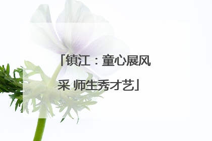 镇江：童心展风采 师生秀才艺