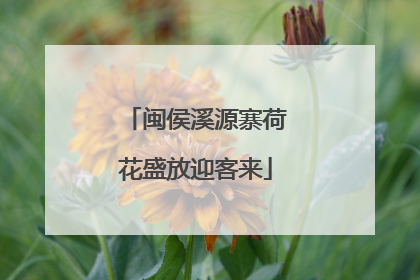 闽侯溪源寨荷花盛放迎客来
