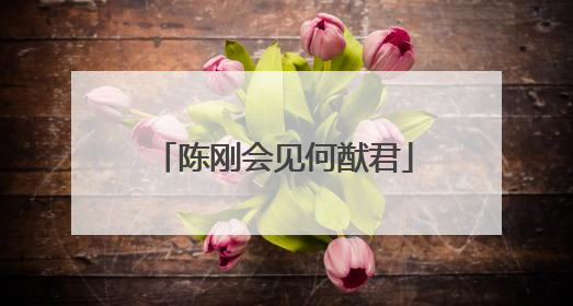 陈刚会见何猷君
