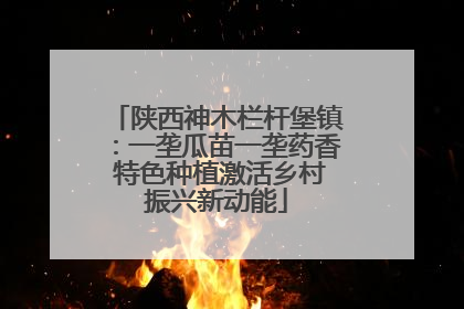 陕西神木栏杆堡镇：一垄瓜苗一垄药香 特色种植激活乡村振兴新动能