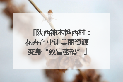 陕西神木铧西村：花卉产业让美丽资源变身“致富密码”