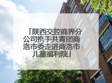 陕西交控商界分公司携手共青团商洛市委走进商洛市儿童福利院
