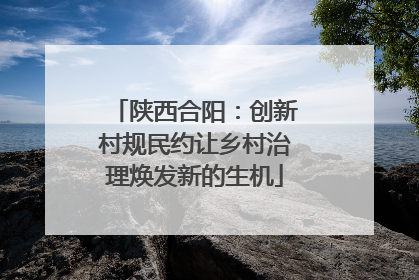 陕西合阳：创新村规民约让乡村治理焕发新的生机