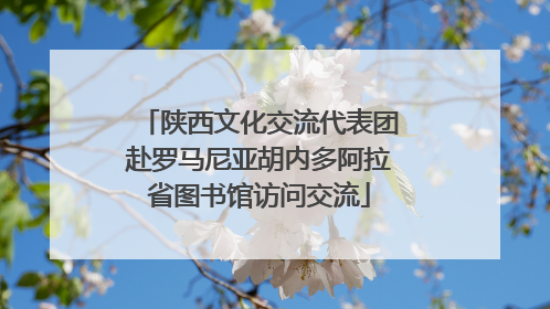 陕西文化交流代表团赴罗马尼亚胡内多阿拉省图书馆访问交流