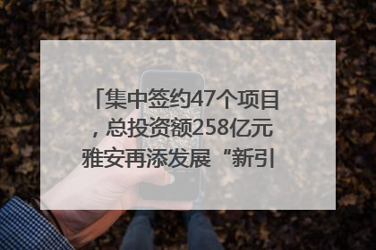 集中签约47个项目，总投资额258亿元 雅安再添发展“新引擎”｜数读西投