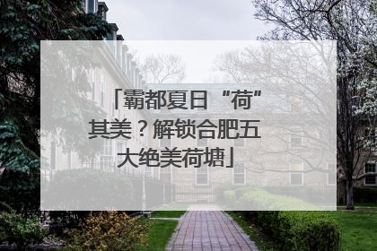 霸都夏日“荷”其美？解锁合肥五大绝美荷塘