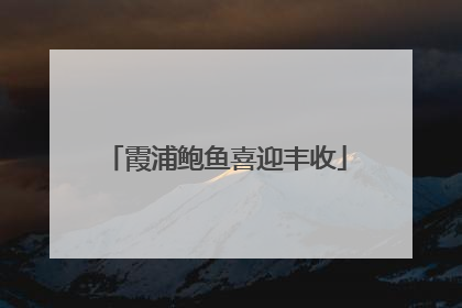 霞浦鲍鱼喜迎丰收
