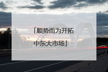 顺势而为开拓中东大市场